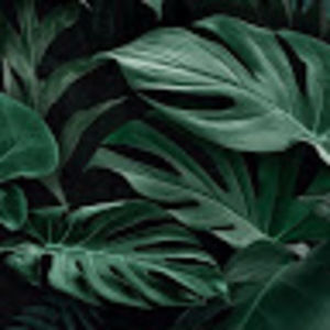 Meet your Posher, Rigo